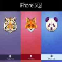 خرید طرح های متنوع و جذاب قاب گوشی آیفون iPhone 5S