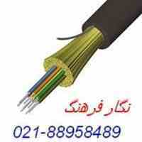 فیبرنوری برندرکس، فیبرنوری آرمورد دار 24 کور
