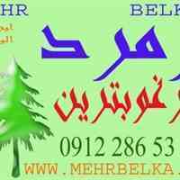 بلکافروش