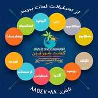 گشت شور آفرین
