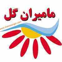 فروش ویژه خشکبار و اجیل