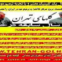  ترمیم مو گلهای تهران 