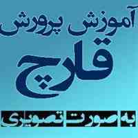 آموزش تصویری تولید و پرورش قارچ در منزل