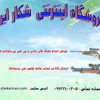 فروش تفنگ پی سی پی دیانا P 1000