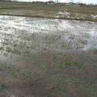 فروش زمین روستایی 1500متر روستای چپک 