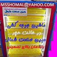 ماشین جوجه کشی اتوماتی; خانگی (درآمد خانگی عالی)