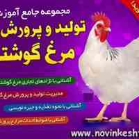 آموزش مرغداری و پرورش مرغ گوشتی | کتاب بهمراه سی دی