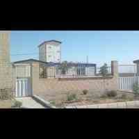 فروش کارخانه خوراک دام و طیور و آبزیان و کنسانتره 