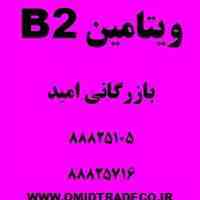 فروش ویتامین B2