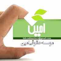 ثبت شرکت و رتبه بندی