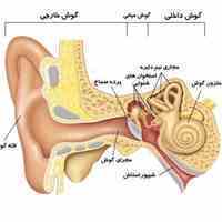 افتتاح مطب