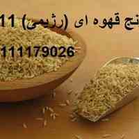 تولید برنج قهوه ای 111