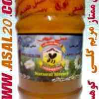 عسل درمانی و طبیعی مریم گلی کمیاب کوهستان 
