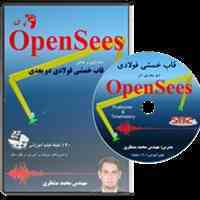 قدم یک اپنسیس