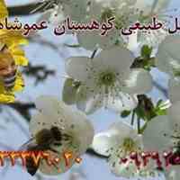 گرده طبیعی گل های کوهستان