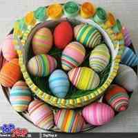 فروش نخم مرغ پلاستیکی