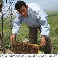 عسل ارگانیک سبلان