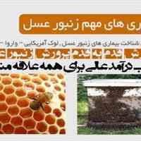 آموزش کامل وجامع پرورش ونگهداری زنبورعسل به صورت تصویری