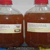 فروش و خواص قارچ کامبوجا