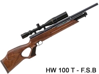 فروش فوق العاده تفنگ پی سی پی وایرخ Fsb-t 100 