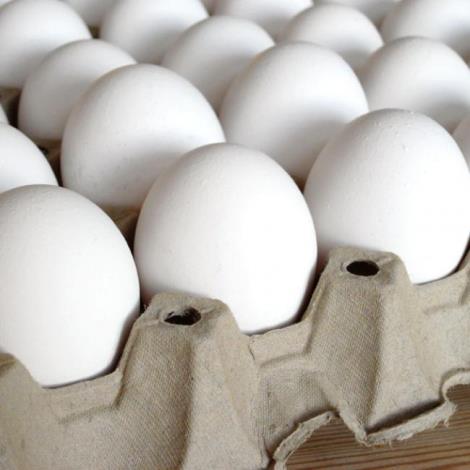 اعطای نمایندگی فروش تخم مرغ در رشت و آستارا
