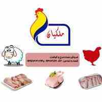 مرغ و گوشت ملکیان