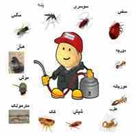 سمپاشی و طعمه گذاری حشرات و جوندگان موذی
