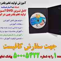 آموزش تولید تخم بلدرچین (خانه تا کارخانه)