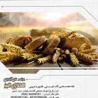 طرح فروش ویژه شرکت نان آوران همای به همراه هدایای ویژه