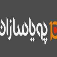 میزبانی وب و دامنه پویاسازان