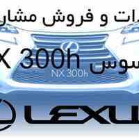 واردات و فروش مشارکتی لکسوس NX300-H