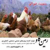 بنتونیت خوراکی