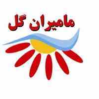 آرد