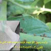 خرید فروش پرلیت perlite  زمین کاو