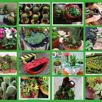 طراحی و اجرای فضای سبز