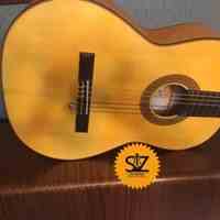 فروش گیتار ریموندو Raimundo 126 - سالار غلامی