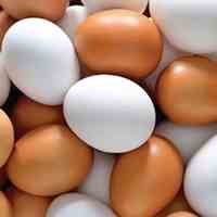 تخم خوراکی غنی شده با امگا 3