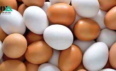 تخم خوراکی غنی شده با امگا 3