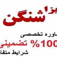 ویزای شینگن VIP  وقت سفارت