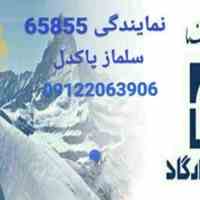 اعطای نمایندگی بیمه عمر و تأمین آتیه پاسارگاد . حقوق دریافتی بصورت کارمزد از شرکت بیمه پاسارگاد بر اساس فروش