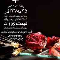 تور شاد شب یلدا در کویر مصر