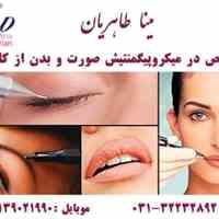 مرکز تخصصی تاتو و میکروپیگمنتیشن در اصفهان