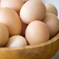 فروش تخم مرغ نطفه دار بومی ارزان