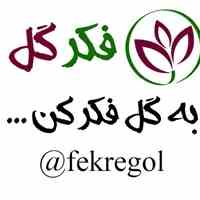 فروشگاه اینترنتی فکرگل فروش انواع گل و گیاهان آپارتمانی 