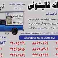  قالیشویی قاصدک 