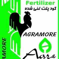 اندیشه حرکت شمال