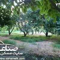  فروش باغ 600 متری در کردزار کد731