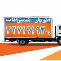 باربری در تهران