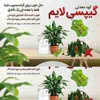 فروش مستقیم و بی واسطه کود معدنی گیپسی لایم