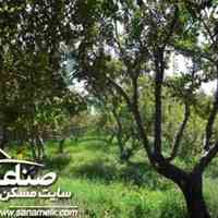  فروش 6قطعه باغچه 500 متری در غرب شهریار کد759